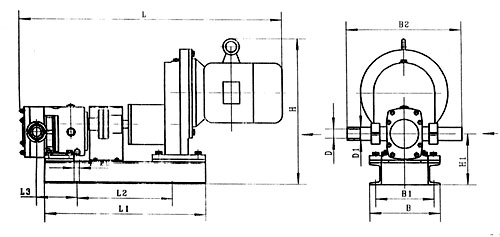 3RP系列凸轮转子泵(不锈钢食品泵)